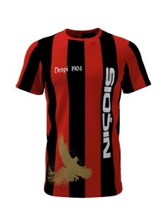 Niçois Despi 1904 - Supporters Nice