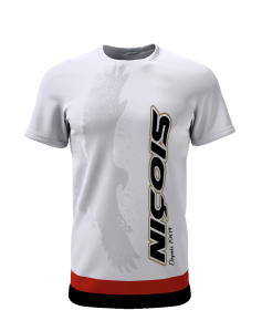 Niçois depuis 1904 - Supporters Nice