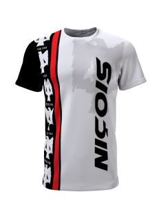 Niçois depuis 1904 x Aigle royal - Supporters Nice