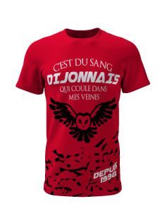 C'est du sang Dijonnais qui coule dans mes veines depuis 1998 - Supporters Dijon