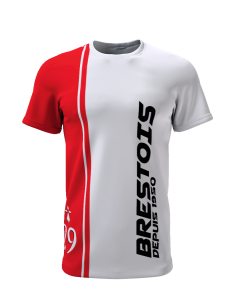 Brestois depuis 1950 - Supporters Brest