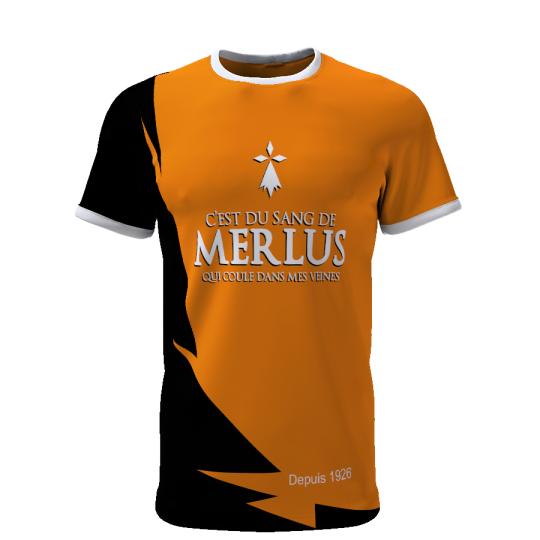 C'est du sang de merlus qui coule dans mes veines depuis 1926 - Supporters Lorient