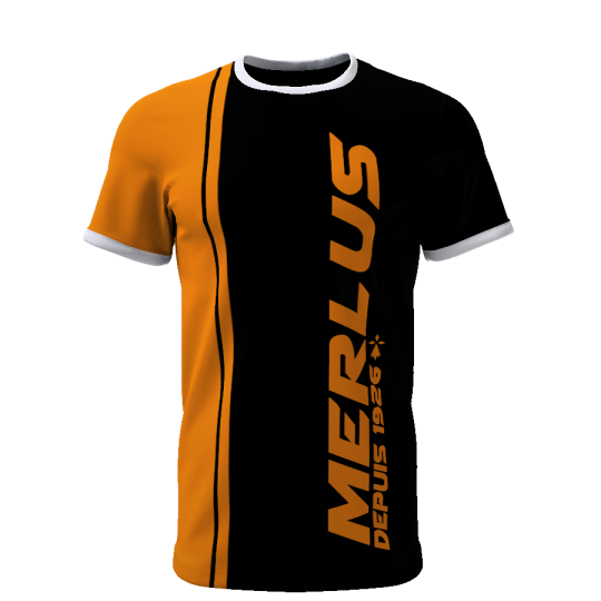 Merlus depuis 1926 - Supporters Lorient