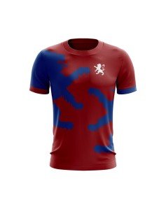 T-shirt Notre drapeau ne flotte pas grâce au vent - Supporters Lyon