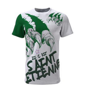 Ici c'est Saint Etienne -...