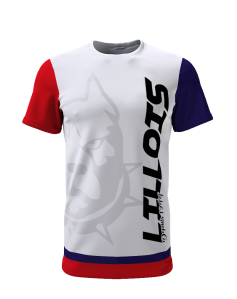 Lillois depuis 1944 - Supporters Lille