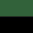 Sassuolo